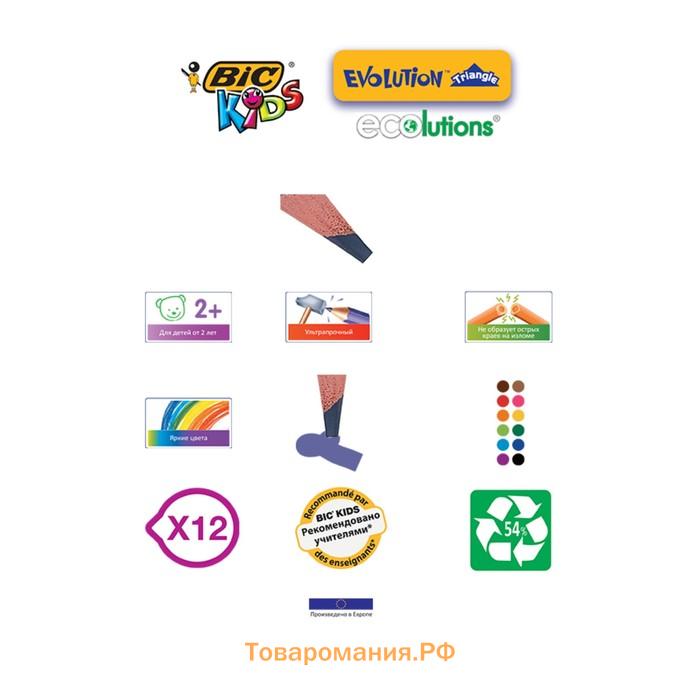 Карандаши 12 цветов, детские, утолщенные, трёхгранные, BIC Kids Evolution Triangle, пластиковые, премиум, картонная упаковка