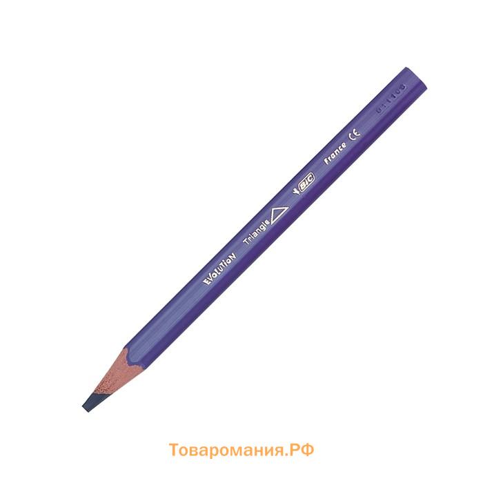 Карандаши 12 цветов, детские, утолщенные, трёхгранные, BIC Kids Evolution Triangle, пластиковые, премиум, картонная упаковка