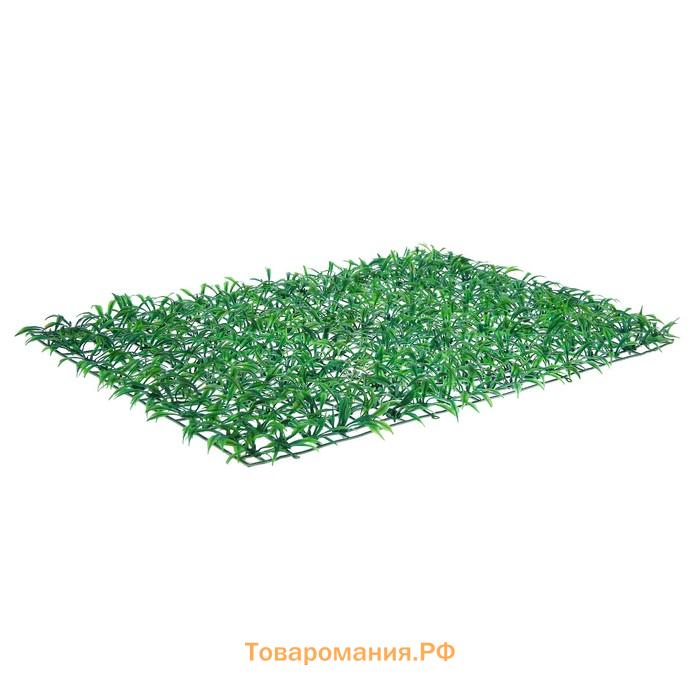 Декоративная панель, 60 × 40 см, «Трава», Greengo