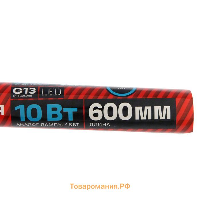 Лампа светодиодная REV LED, Т8, G13, 10 Вт, 6500 К, 600 мм, холодный свет