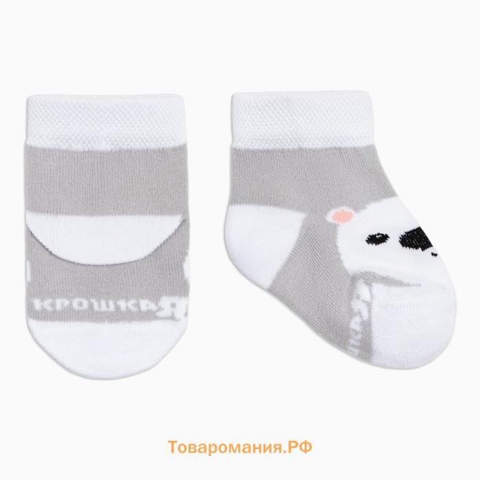 Набор носков Крошка Я «Белый мишка», 2 пары, 8-10 см