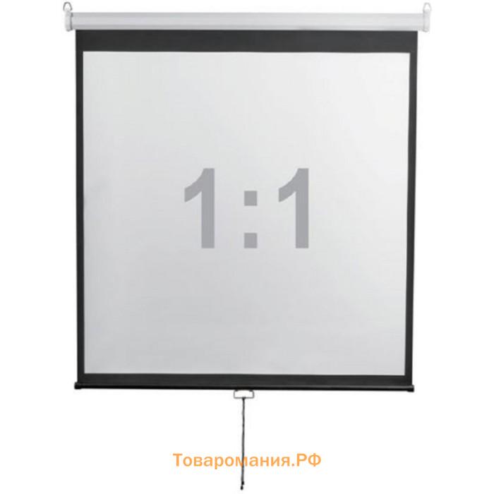 Экран 240x240 см, Digis Optimal-D DSOD-1107, 1:1, настенно-потолочный, рулонный