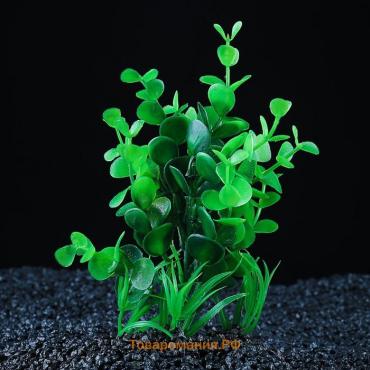 Растение искусственное аквариумное, 14 х 12 х 17 см