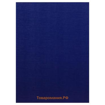 Папка для дипломных работ (Без надписи), бумвинил, гребешки/сутаж, без бумаги, цвет синий (вместимость до 150 листов)