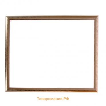 Рама для картин (зеркал) 40 х 50 х 2,7 см, пластиковая, Calligrata 6472, серебристая