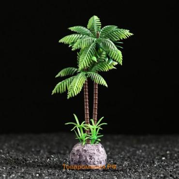 Растение искусственное "Пальма", 5 х 5 х 15 см