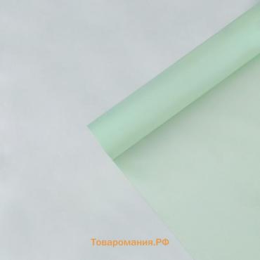 Плёнка для цветов упаковочная тишью влагостойкая «Мята», 0.6 x 8 м, 30мкм